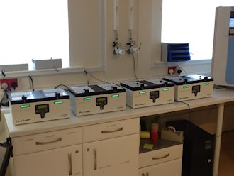 BT37 in Lab